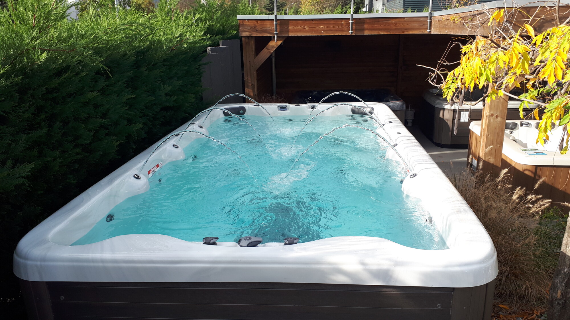 Nouveau spa de nage sur notre showroom à Bennwihr-Gare Wittenheim 2